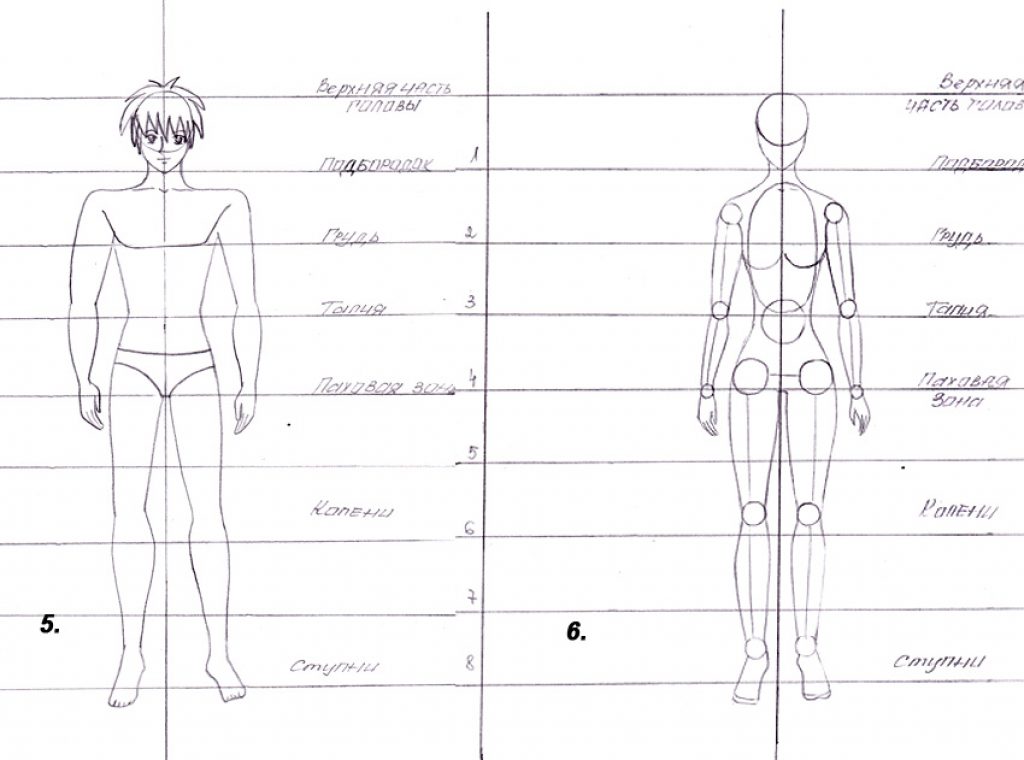 Схема тела. Схема рисования человека. Пропорции человека для рисования для начинающих. Схема рисования человека в полный рост. Схематический рисунок человека в полный рост.