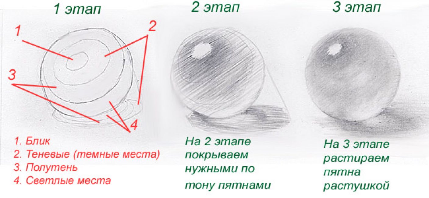 Сколько нужно рисовать чтобы научиться