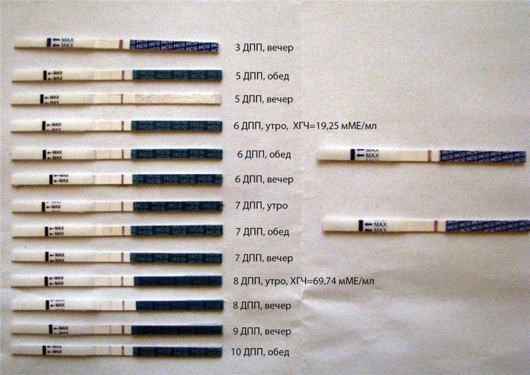 Эвитест на беременность фото положительных результатов
