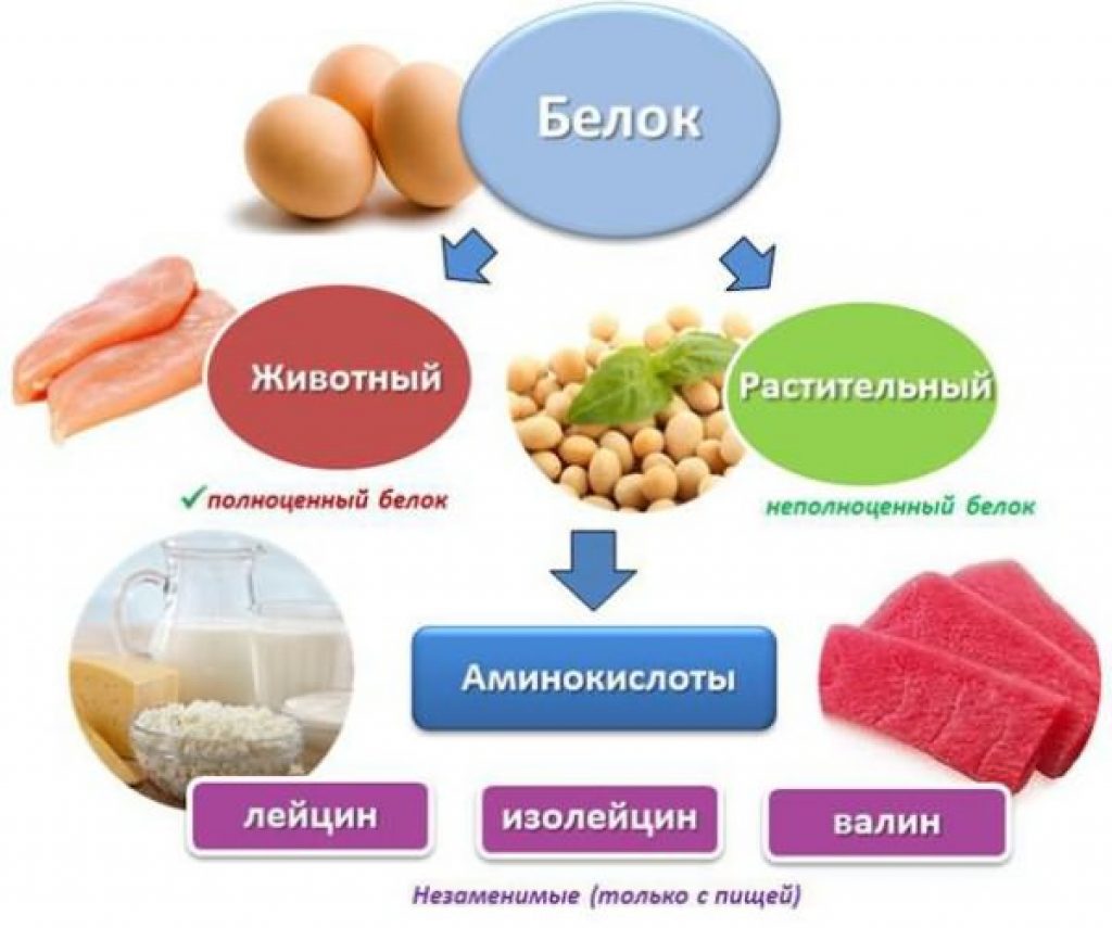 ТОП-10 Белковых Продуктов для Похудения + ТАБЛИЦА