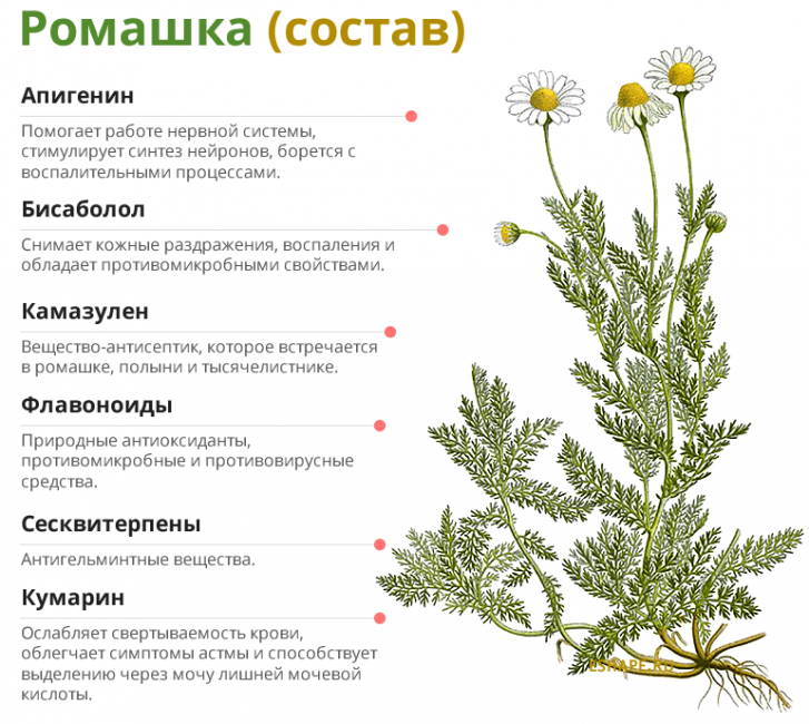 Почему Бывает Отрыжка: Причины, Лечение + 10 Способов Избежать