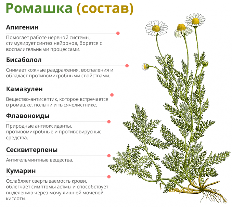Почему Бывает Отрыжка: Причины, Лечение + 10 Способов Избежать
