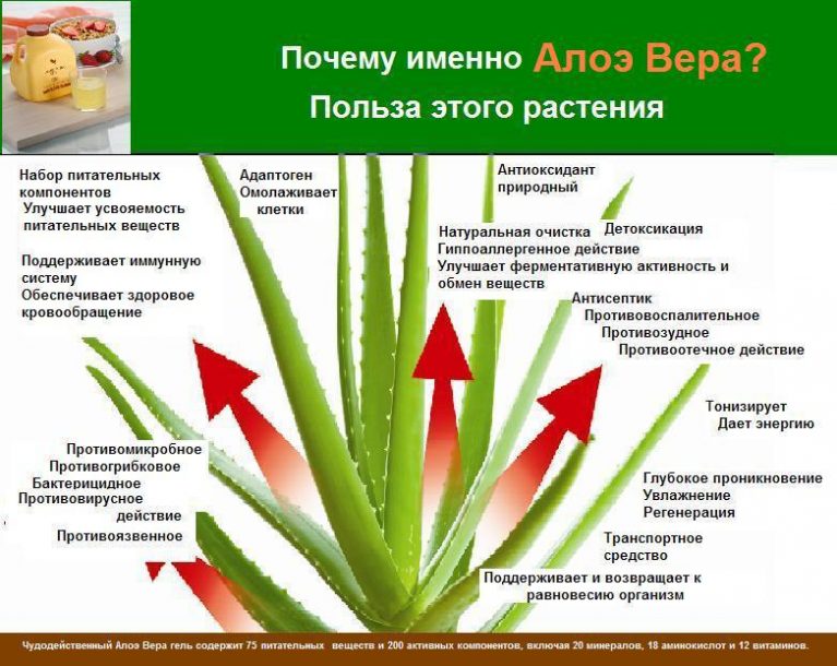 Почему Бывает Отрыжка: Причины, Лечение + 10 Способов Избежать