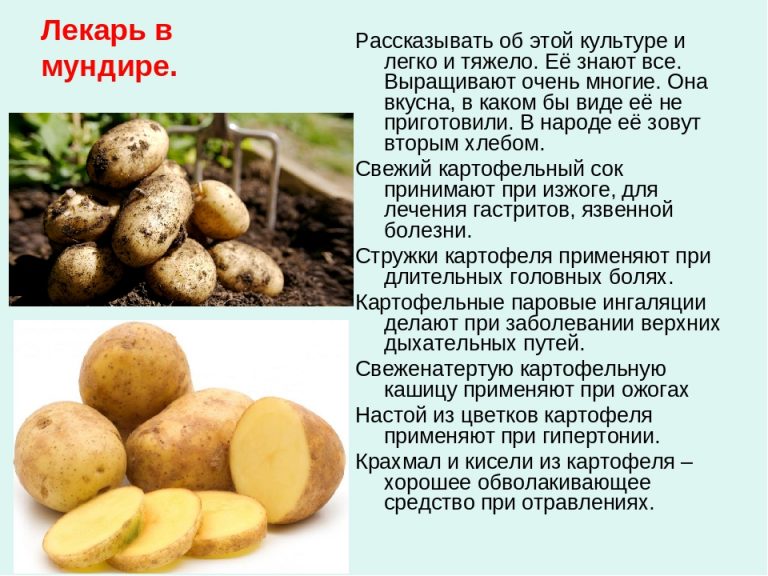Почему Бывает Отрыжка: Причины, Лечение + 10 Способов Избежать