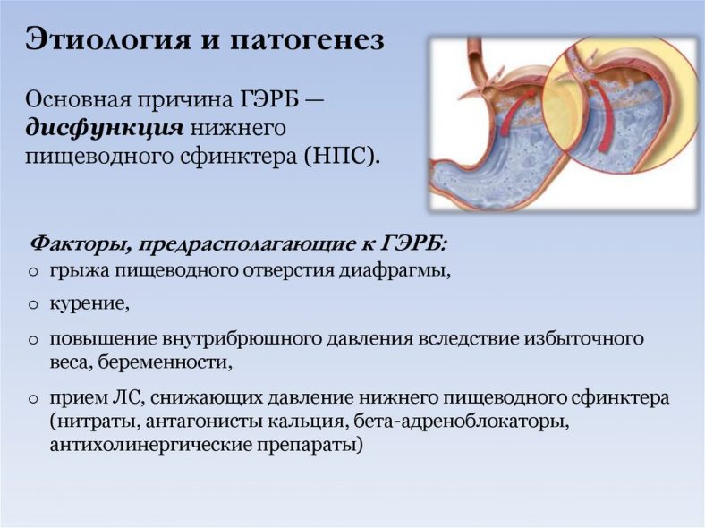 Почему Бывает Отрыжка: Причины, Лечение + 10 Способов Избежать