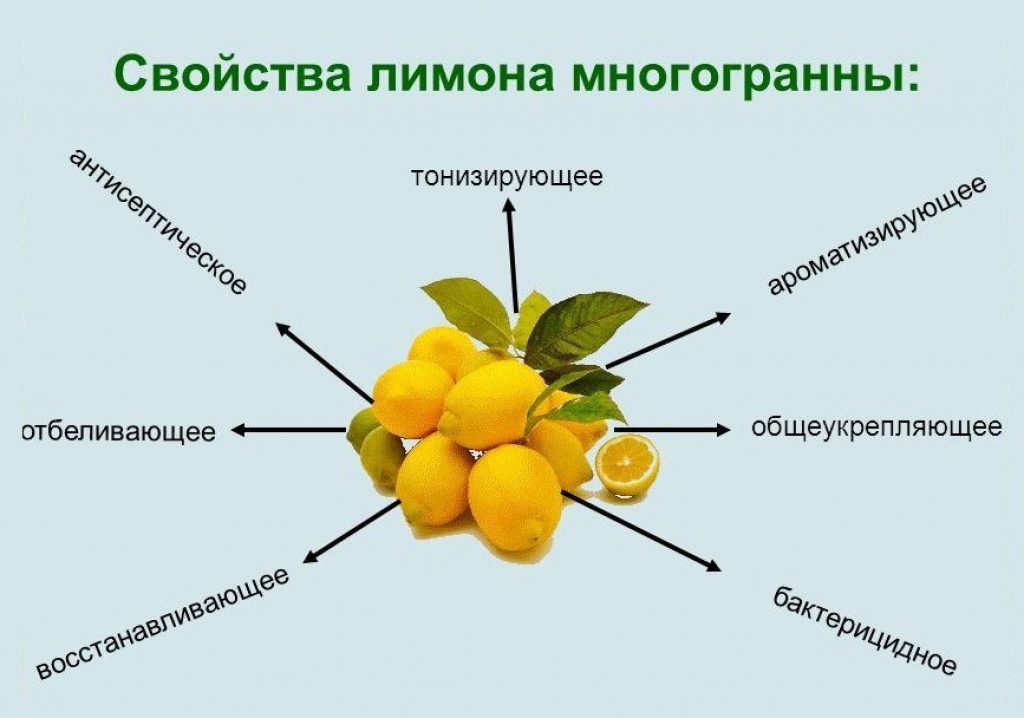 Полезные свойства лимона презентация