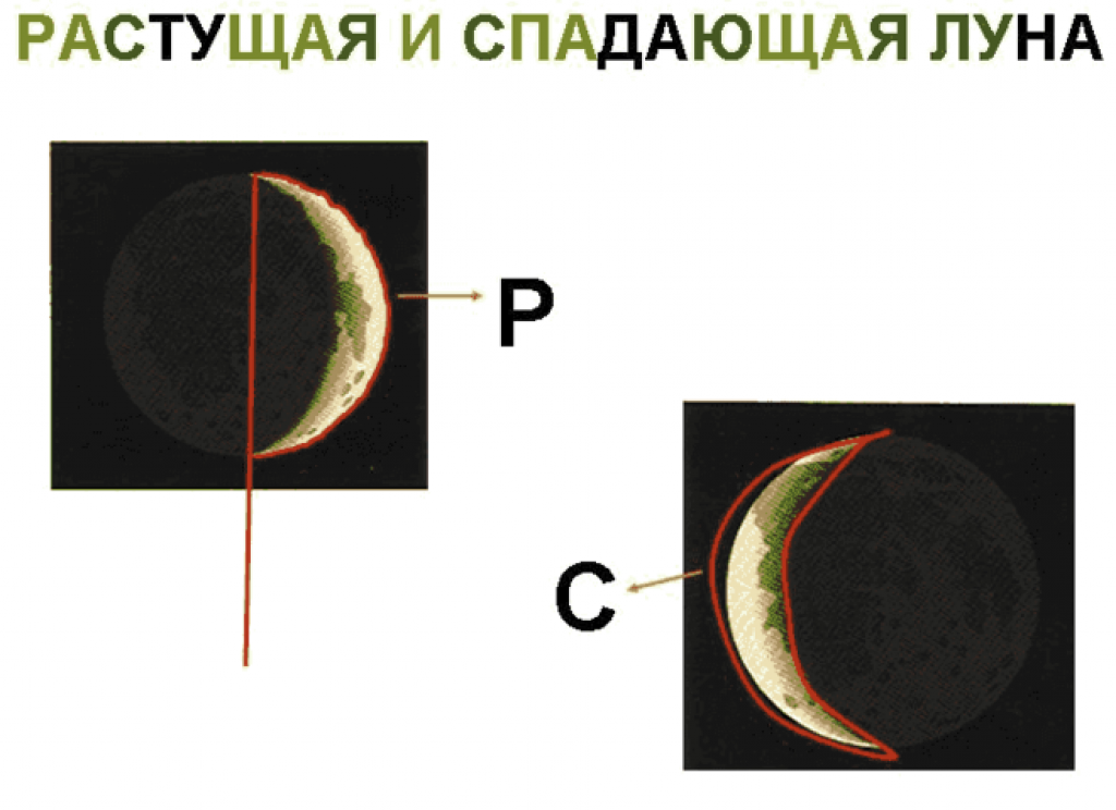 Сейчас Растущая Луна или Убывающая: ТОП-5 Способов Узнать