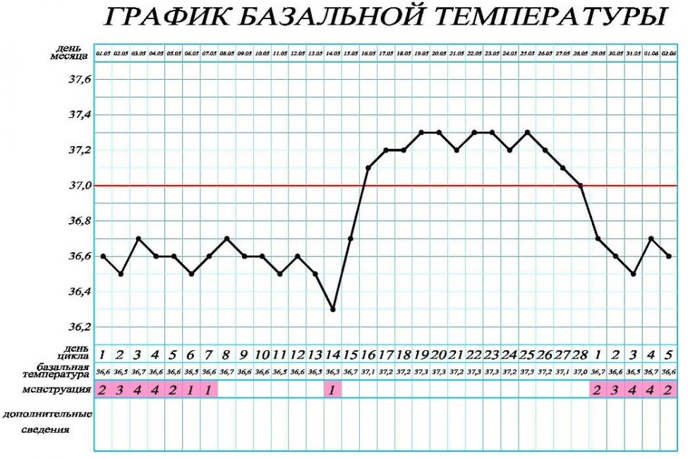 Внешний вид нормального графика базальной температуры