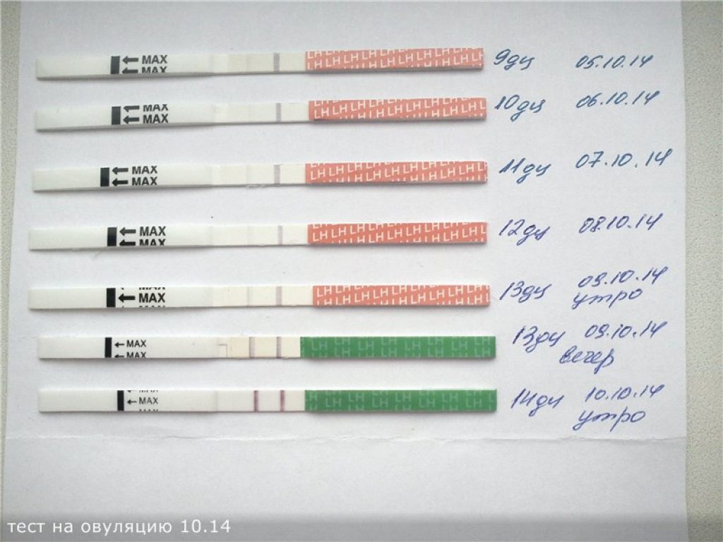 Нерегулярный цикл и овуляция