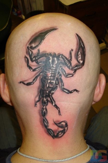 Скорпион на голове