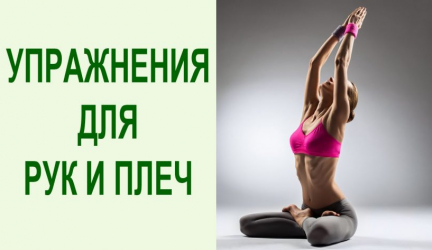 Упражнения для рук и плеч в домашних условиях: 11 эффективных упражнений с гантелями для женщин и мужчин с ФОТО